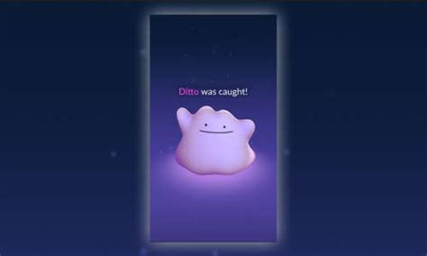 ditto fangen pokemon go|Pokémon GO Guide: Ditto finden und fangen